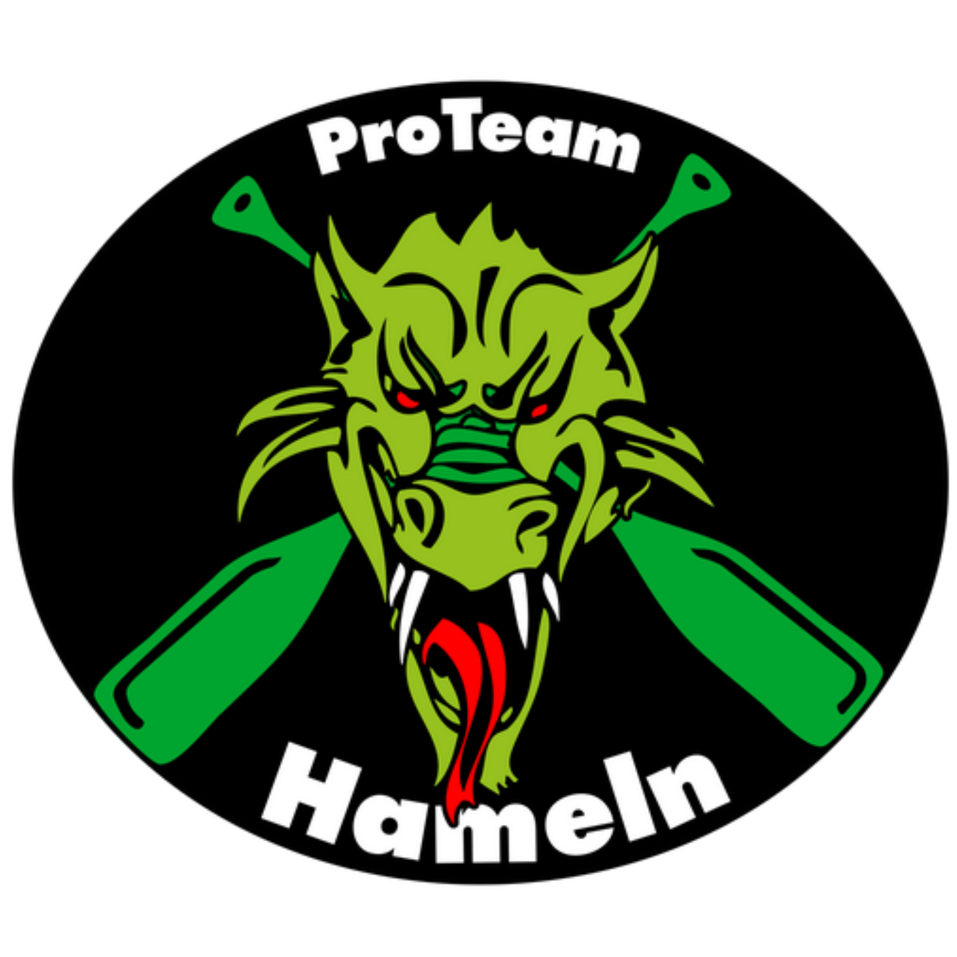 ProTeam Hameln